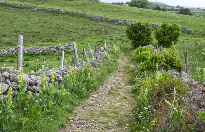 Saint-Chély d’Aubrac