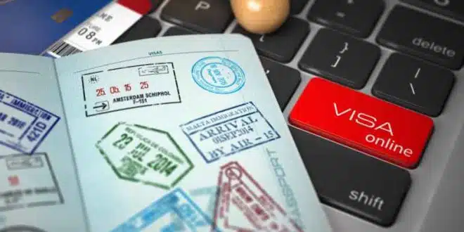 Visa pour la Tanzanie en ligne sur le site officiel : procédure d’obtention