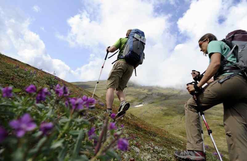 Que faire au cours d’un voyage en Alaska ?