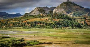 Madagascar : une destination de choix pour les amoureux de la nature ?