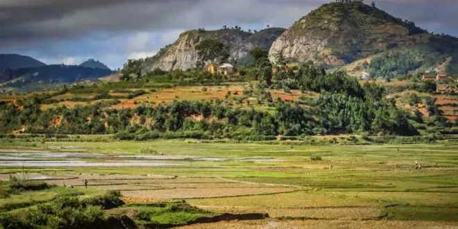 Madagascar : une destination de choix pour les amoureux de la nature ?