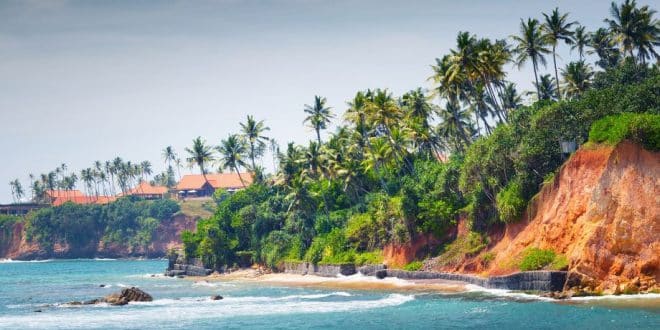 Sri Lanka : identifier la période idéale pour votre voyage