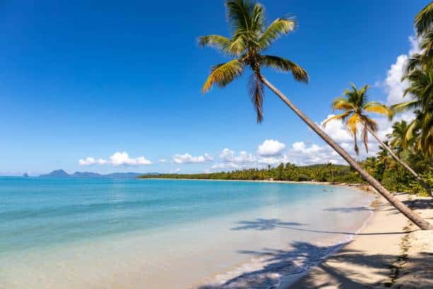 plage Martinique