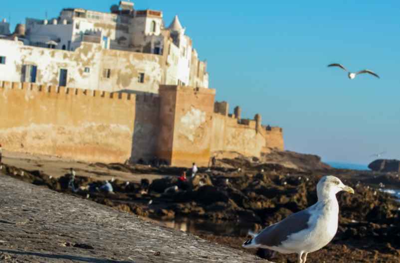 Le passeport est-il nécessaire pour se rendre au Maroc ?