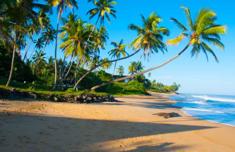 Pourquoi aller à Sri Lanka en 2024 ?