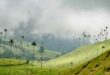 Quand partir en Colombie sans se ruiner : les meilleures périodes pour voyager à petit prix