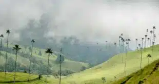 Quand partir en Colombie sans se ruiner : les meilleures périodes pour voyager à petit prix