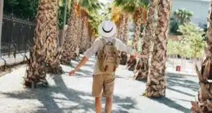 Que faire à Palma de Majorque en janvier ou février : idées d’activités hivernales