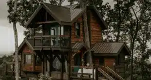 Cabane dans les arbres en famille proche de Paris : les adresses secrètes à découvrir absolument