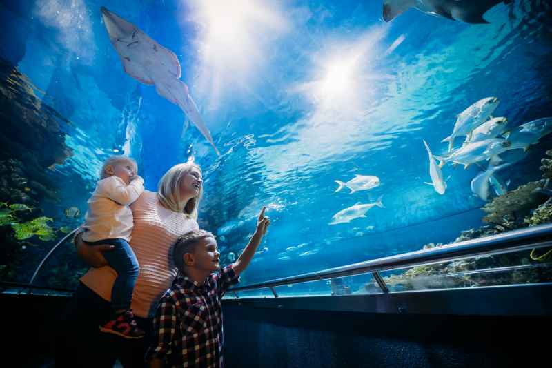 Pourquoi Palma Aquarium devrait figurer sur votre itinéraire ?