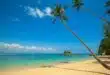 Quelle est la plus belle plage des îles Canaries ? Le spot élu numéro 1 par les voyageurs