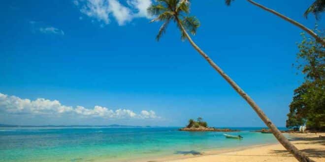 Quelle est la plus belle plage des îles Canaries ? Le spot élu numéro 1 par les voyageurs
