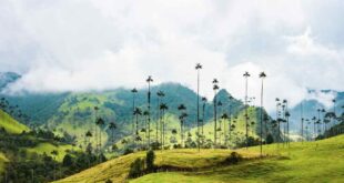 Quand partir en Colombie sans se ruiner ? Les périodes les plus avantageuses