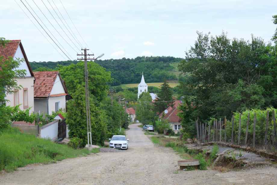 Aigremont : un cercle médiéval entre nature et patrimoine-LMAC Aigremont : un cercle médiéval entre nature et patrimoine-LMAC