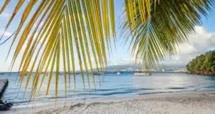 Organisez votre voyage en Martinique : 5 conseils pour un séjour réussi LMAC