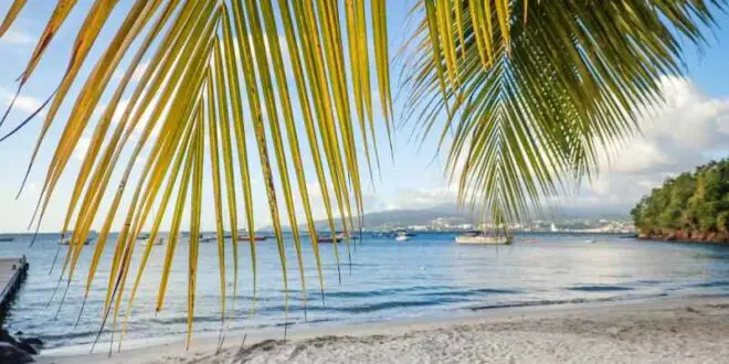 Organisez votre voyage en Martinique : 5 conseils pour un séjour réussi LMAC