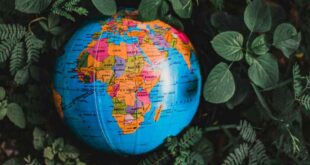 Le plus beau pays d’Afrique en 2026 : destinations favorites et tendances voyage-LMAC