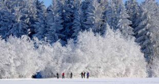 Que faire à Gérardmer en famille en hiver : activités incontournables et bons plans-LMAC