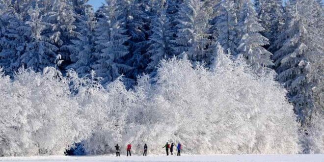 Que faire à Gérardmer en famille en hiver : activités incontournables et bons plans-LMAC