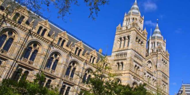 Combien de temps faut-il pour visiter le Musée d’histoire naturelle de Londres ?-LMAC