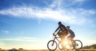 Comment bien choisir votre vélo pour explorer l'Île de Ré ? LMAC