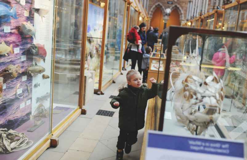 Comparaison avec le British Museum-LMAC