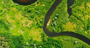 Quels sont les fleuves les plus longs du monde ?-LMAC