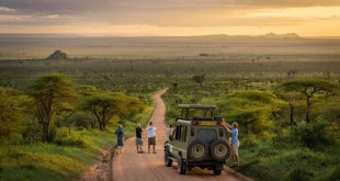 Itinéraires Afrique