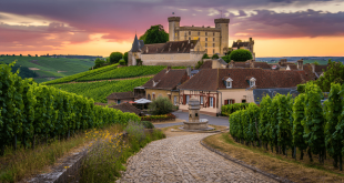 Ballade à vélo dans le Parc de l'Arbre-Sec à Auxerre © Winealist