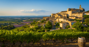 Vue sur Avignon et son pont © Tourlane