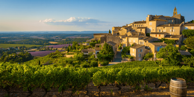Vue sur Avignon et son pont © Tourlane