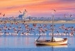 Visiter la Picardie et la ville d