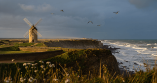 Profiter du littoral de la Vendée © Le camping Le Chaponnet