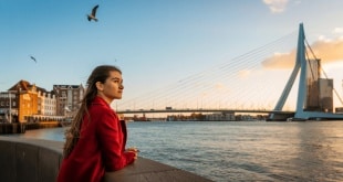 QUE FAIRE À ROTTERDAM ET SES ALENTOURS ? WEEK-END ENTRE VILLE ET NATURE