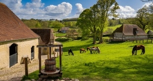WEEK-END AU VERT EN NORMANDIE — QUE FAIRE DANS L’ORNE ET AU HARAS DU PIN ?			
		

			WEEK-END EN NORMANDIE — 9 CHOSES À FAIRE DANS LE PERCHE