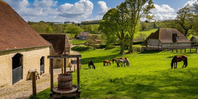 WEEK-END AU VERT EN NORMANDIE — QUE FAIRE DANS L’ORNE ET AU HARAS DU PIN ?			
		

			WEEK-END EN NORMANDIE — 9 CHOSES À FAIRE DANS LE PERCHE