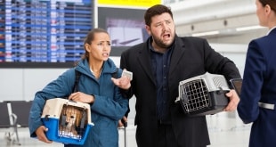 Voyager en avion avec son chien, son chat et autres – Ce que vous devez savoir lorsque vous voyagez avec un animal de compagnie