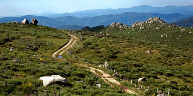 un sentier serpentant à travers une prairie dans les contreforts du Mont Lozère