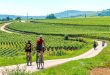 Parcourez les vignobles de Beaune et de la Bourgogne en vélo ©Nomade Aventure