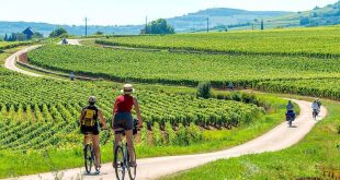 Parcourez les vignobles de Beaune et de la Bourgogne en vélo ©Nomade Aventure