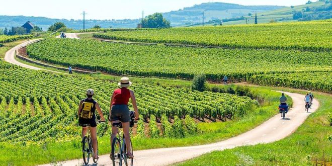 Parcourez les vignobles de Beaune et de la Bourgogne en vélo ©Nomade Aventure