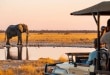 Parc national d'Etosha en Namibie : safari, carte, animaux et conseils pour visiter