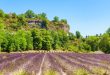 Le décor du Parc Naturel Régional des Baronnies Provençales, entre falaises et champs de lavandes ©Shutterstock