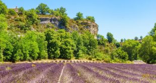 Le décor du Parc Naturel Régional des Baronnies Provençales, entre falaises et champs de lavandes ©Shutterstock