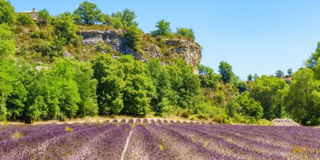 Le décor du Parc Naturel Régional des Baronnies Provençales, entre falaises et champs de lavandes ©Shutterstock
