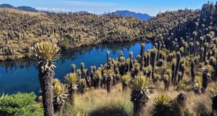 visiter le Paramo de Murillo
