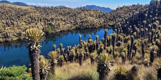 visiter le Paramo de Murillo