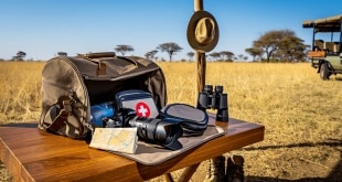 Check-list safari : la liste complète des affaires à emporter en Afrique