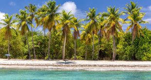 Les plus belles plages de Martinique