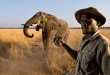 Faire un safari en Afrique : à quoi s’attendre vraiment avant de partir ?